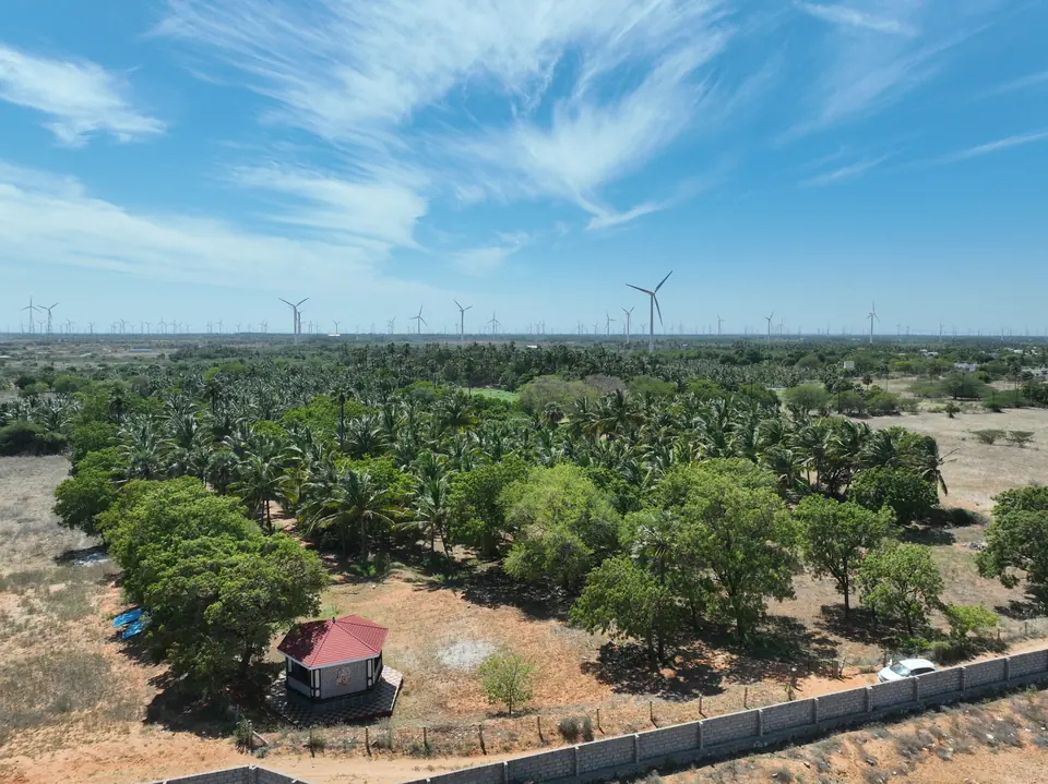 Aerial view of a walled green plot planted with coconut and palm, wind turbines along the horizon
